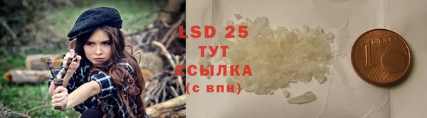 шишки Наволоки