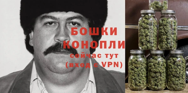 шишки Наволоки