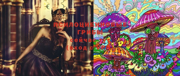 шишки Наволоки